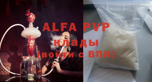 прущие грибы Белокуриха