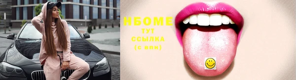 шишки Богородск