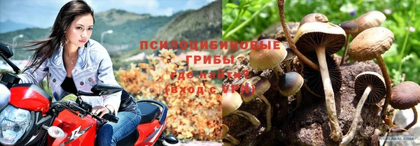 первитин Богданович