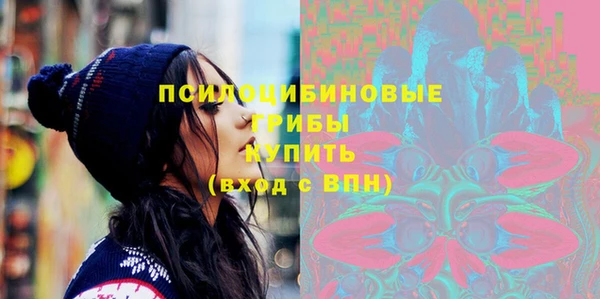 шишки Богородск