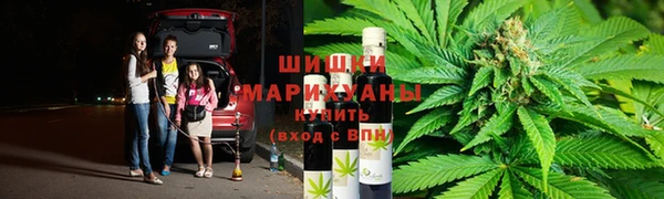 первитин Богданович