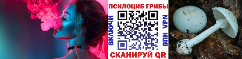 мега сайт  Задонск  Галлюциногенные грибы ЛСД 